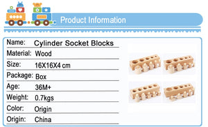 Montessori Educational Cylinder Socket Blocks Toy from Laudri Shop 