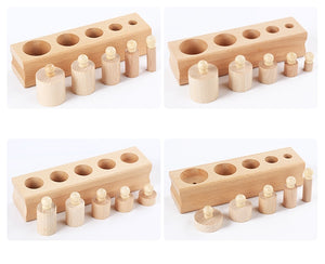 Montessori Educational Cylinder Socket Blocks Toy from Laudri Shop 