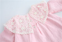 Load image into Gallery viewer, Lace Embroidery Baby Dress Pink - Baby Girl Outfit Sets12