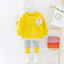 Load image into Gallery viewer, Toddler Rabbit Lace Clothing - Toddler rabbit clothes. Material: Cotton Collar: O-Neck Closure Type: Pullover Material Composition: Cotton Sleeve Length(cm): Full Pattern 4
