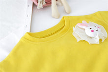 Load image into Gallery viewer, Toddler Rabbit Lace Clothing - Toddler rabbit clothes. Material: Cotton Collar: O-Neck Closure Type: Pullover Material Composition: Cotton Sleeve Length(cm): Full Pattern 3