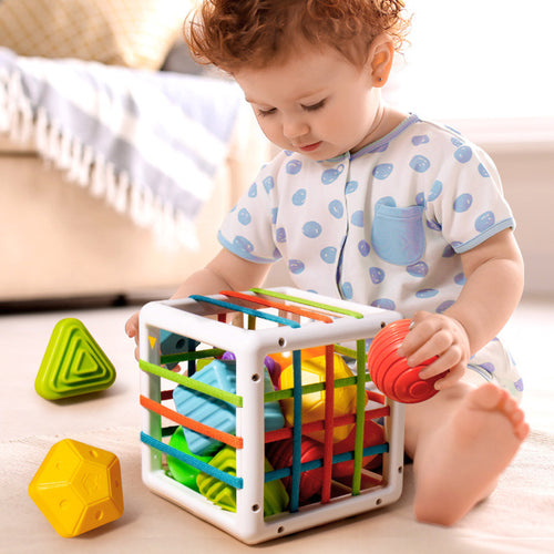 Baby Montessori Shape Sorting - Montessori toys for babies. Certification: CE. Recommend aged: 4m+Certification: Europe certified (CE) Shipping: 