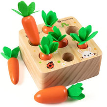 Load image into Gallery viewer, Montessori Pull Carrot Wooden Set