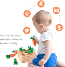 Load image into Gallery viewer, Montessori Pull Carrot Wooden Set