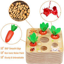 Load image into Gallery viewer, Montessori Pull Carrot Wooden Set