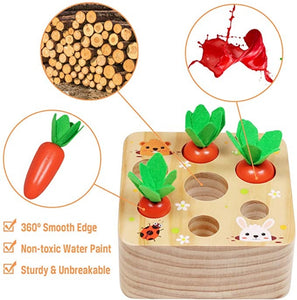 Montessori Pull Carrot Wooden Set