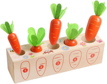 Load image into Gallery viewer, Montessori Pull Carrot Wooden Set