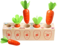 Load image into Gallery viewer, Montessori Pull Carrot Wooden Set