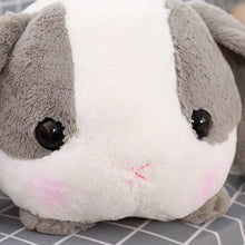 Load image into Gallery viewer, Stuffed Long Ears Rabbit - Stuffed Bunny with Long Ears Pattern. Stuffed &amp; Plush Material: Cotton Theme: TV &amp; Movie Character Filling: PP Cotton Type.7