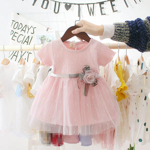 Cute Princess Baby Girl Dress from Laudri Shop