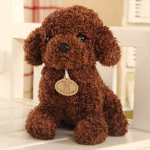 Load image into Gallery viewer, CuteCute Curly Stuffed Puppy Toy -Stuffed Toys -Plush Toys. Theme: TV &amp; Movie Character Material: Cotton Type: Plush/Nano Doll Age Range: &gt; 3 years old23