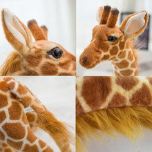 Load image into Gallery viewer, Huge Giraffe Plush Toys - Plush Giraffe for nursery. Material: Plush Filling: PP Cotton. Age Range: &gt; 3 years old. Product Name: Giraffe Stuffed Toys. Type: Animal5
